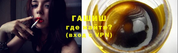 гашик Алексин
