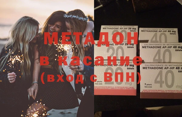 гашик Алексин