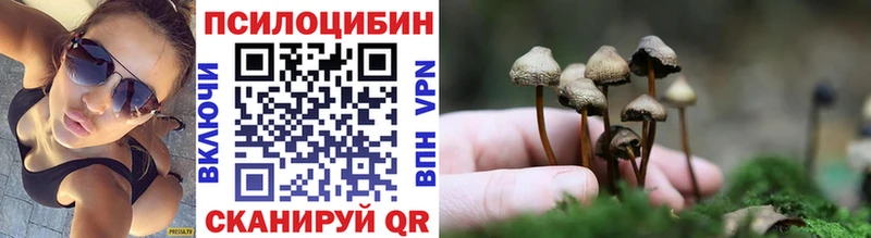 Галлюциногенные грибы Psilocybe  Гуково 