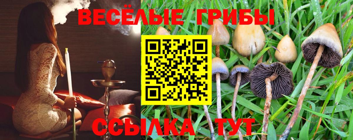 Галлюциногенные грибы Psilocybine cubensis  Вход с VPN  Гуково  Псилоцибиновые грибы мухоморы 